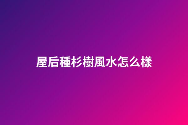 屋后種杉樹風水怎么樣