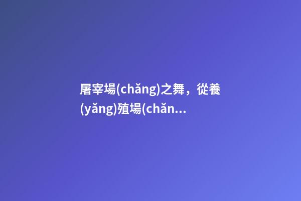 屠宰場(chǎng)之舞，從養(yǎng)殖場(chǎng)到屠宰場(chǎng)-第1張-觀點(diǎn)-玄機(jī)派