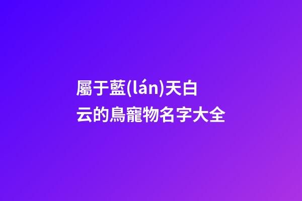 屬于藍(lán)天白云的鳥寵物名字大全