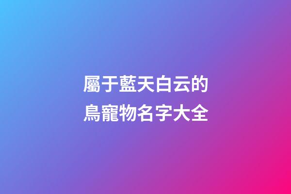 屬于藍天白云的鳥寵物名字大全