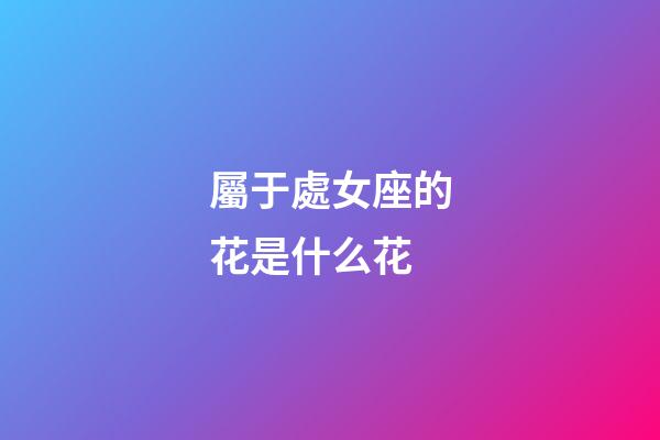 屬于處女座的花是什么花-第1張-星座運勢-玄機派