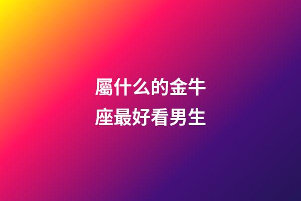 屬什么的金牛座最好看男生-第1張-星座運勢-玄機派