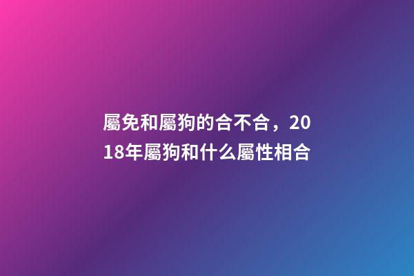 屬免和屬狗的合不合，2018年屬狗和什么屬性相合-第1張-觀點-玄機派