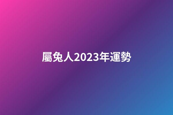 屬兔人2023年運勢（14年屬兔人屬于什么命）-第1張-星座運勢-玄機派