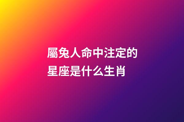 屬兔人命中注定的星座是什么生肖-第1張-星座運勢-玄機派