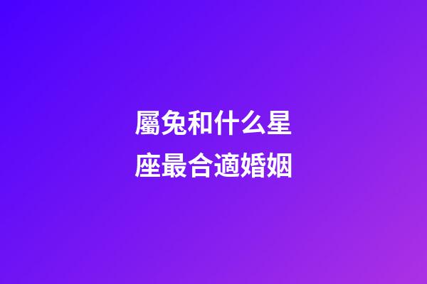 屬兔和什么星座最合適婚姻-第1張-星座運勢-玄機派