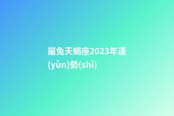 屬兔天蝎座2023年運(yùn)勢(shì)