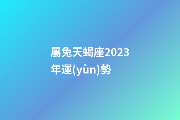 屬兔天蝎座2023年運(yùn)勢