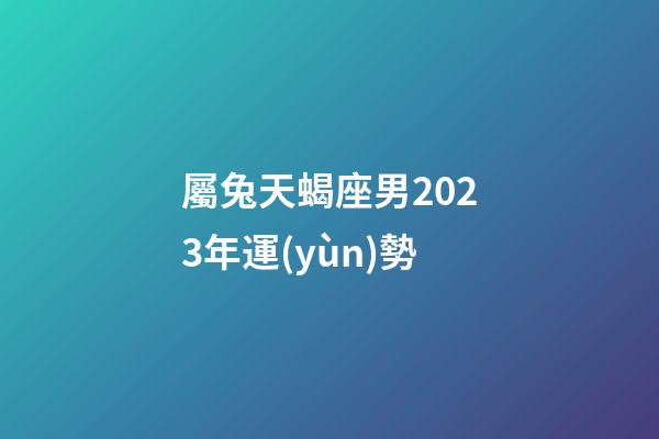 屬兔天蝎座男2023年運(yùn)勢-第1張-星座運(yùn)勢-玄機(jī)派