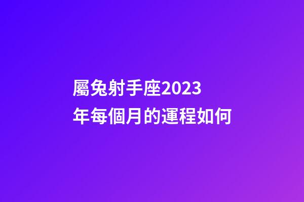 屬兔射手座2023年每個月的運程如何-第1張-星座運勢-玄機派