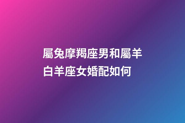 屬兔摩羯座男和屬羊白羊座女婚配如何-第1張-星座運勢-玄機派