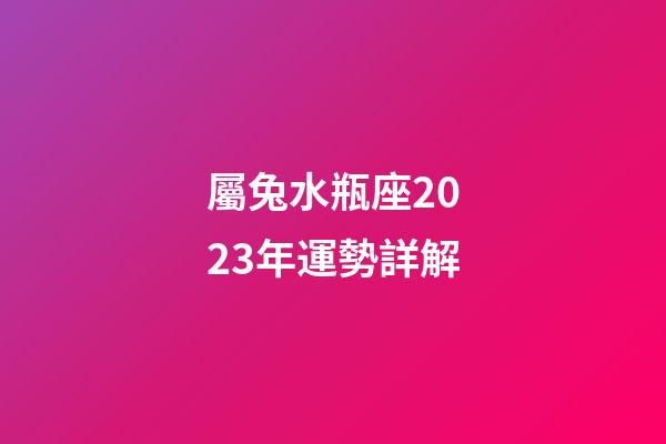 屬兔水瓶座2023年運勢詳解-第1張-星座運勢-玄機派