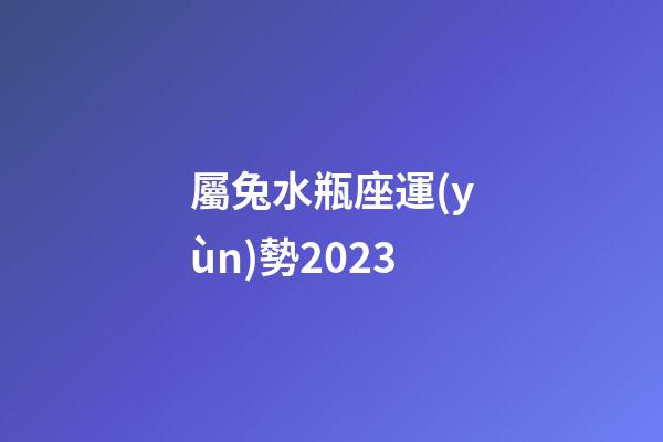 屬兔水瓶座運(yùn)勢2023-第1張-星座運(yùn)勢-玄機(jī)派