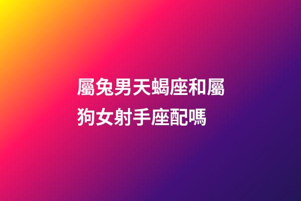 屬兔男天蝎座和屬狗女射手座配嗎-第1張-星座運(yùn)勢-玄機(jī)派