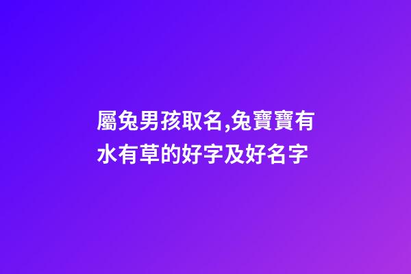 屬兔男孩取名,兔寶寶有水有草的好字及好名字-第1張-觀點-玄機派