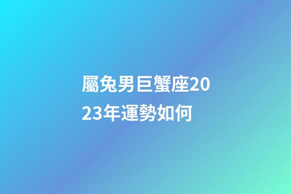 屬兔男巨蟹座2023年運勢如何-第1張-星座運勢-玄機派