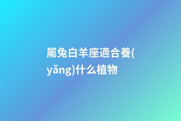 屬兔白羊座適合養(yǎng)什么植物-第1張-星座運勢-玄機派