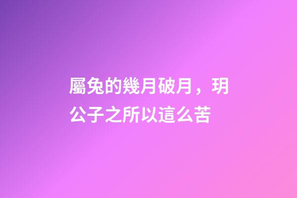 屬兔的幾月破月，玥公子之所以這么苦-第1張-觀點(diǎn)-玄機(jī)派