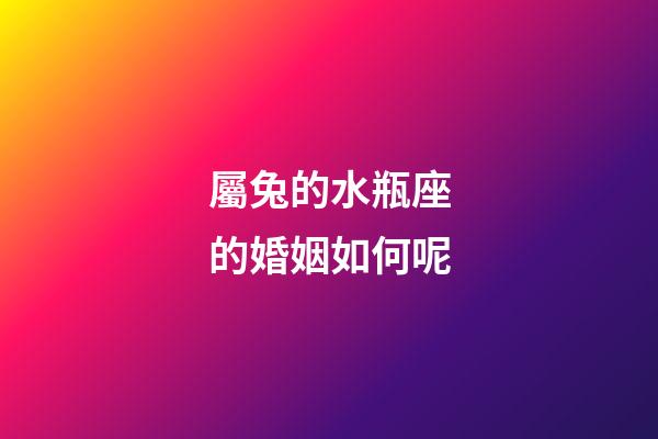 屬兔的水瓶座的婚姻如何呢-第1張-星座運勢-玄機派