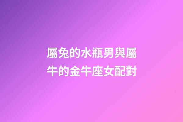 屬兔的水瓶男與屬牛的金牛座女配對-第1張-星座運勢-玄機派