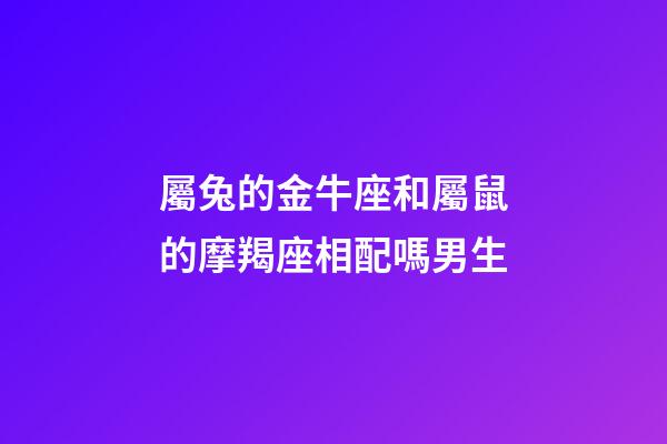 屬兔的金牛座和屬鼠的摩羯座相配嗎男生-第1張-星座運勢-玄機派