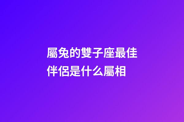 屬兔的雙子座最佳伴侶是什么屬相-第1張-星座運勢-玄機派