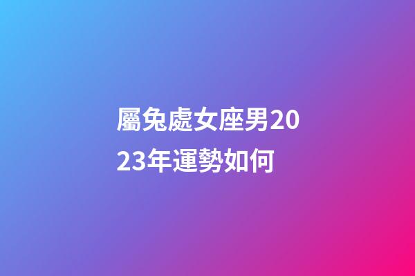 屬兔處女座男2023年運勢如何-第1張-星座運勢-玄機派