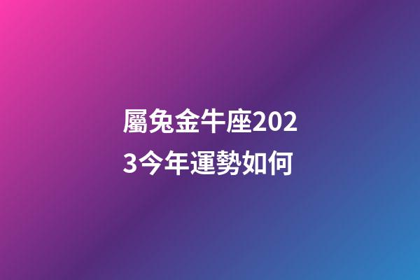屬兔金牛座2023今年運勢如何-第1張-星座運勢-玄機派
