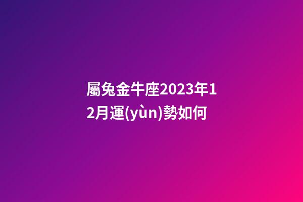 屬兔金牛座2023年12月運(yùn)勢如何-第1張-星座運(yùn)勢-玄機(jī)派