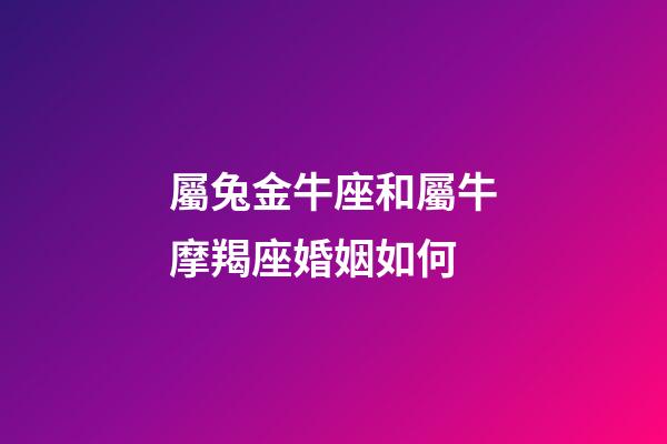 屬兔金牛座和屬牛摩羯座婚姻如何-第1張-星座運勢-玄機派