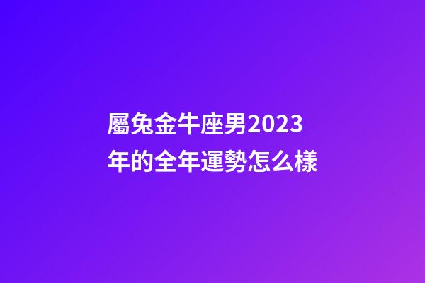 屬兔金牛座男2023年的全年運勢怎么樣-第1張-星座運勢-玄機派