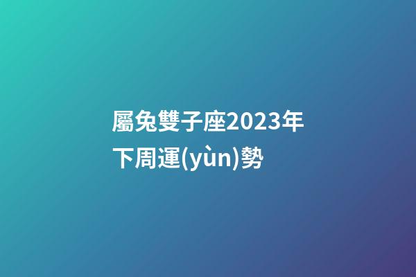 屬兔雙子座2023年下周運(yùn)勢-第1張-星座運(yùn)勢-玄機(jī)派