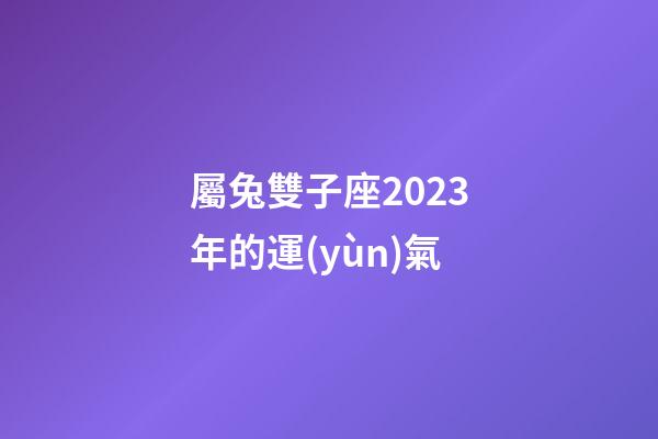屬兔雙子座2023年的運(yùn)氣-第1張-星座運(yùn)勢(shì)-玄機(jī)派