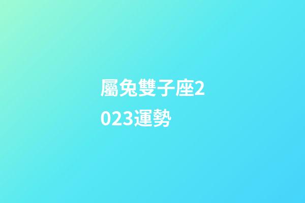 屬兔雙子座2023運勢-第1張-星座運勢-玄機派