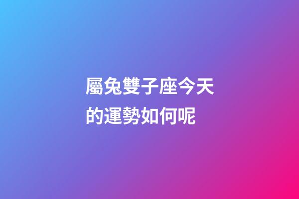 屬兔雙子座今天的運勢如何呢-第1張-星座運勢-玄機派