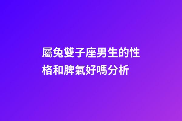 屬兔雙子座男生的性格和脾氣好嗎分析-第1張-星座運(yùn)勢(shì)-玄機(jī)派