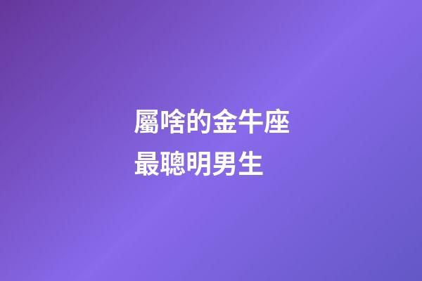 屬啥的金牛座最聰明男生-第1張-星座運勢-玄機派
