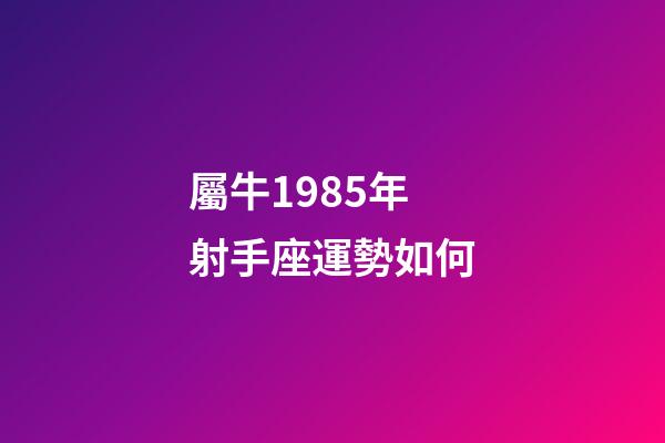 屬牛1985年射手座運勢如何-第1張-星座運勢-玄機派