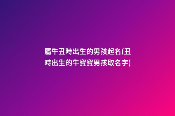 屬牛丑時出生的男孩起名(丑時出生的牛寶寶男孩取名字)