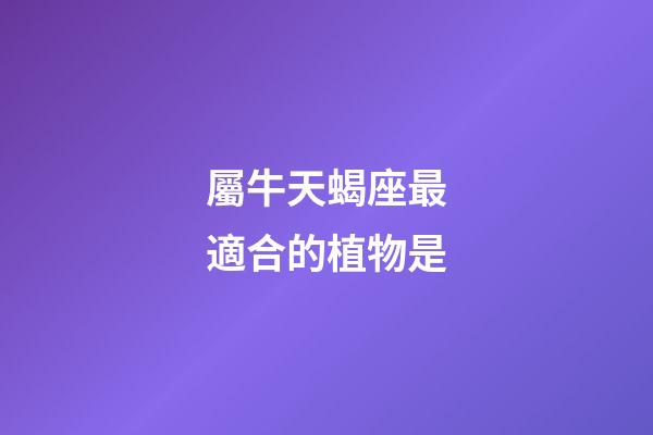 屬牛天蝎座最適合的植物是-第1張-星座運勢-玄機派