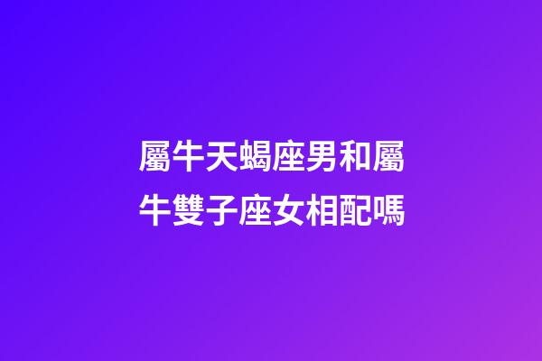 屬牛天蝎座男和屬牛雙子座女相配嗎-第1張-星座運勢-玄機派