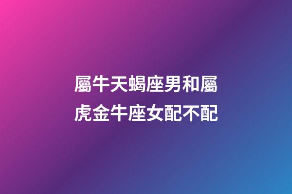 屬牛天蝎座男和屬虎金牛座女配不配-第1張-星座運勢-玄機派