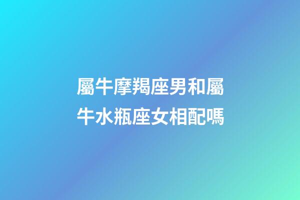 屬牛摩羯座男和屬牛水瓶座女相配嗎-第1張-星座運勢-玄機派