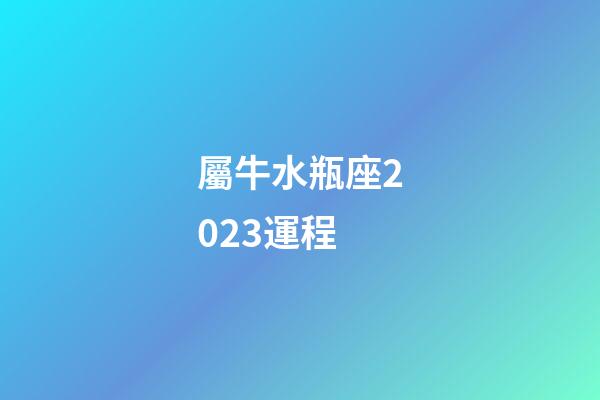 屬牛水瓶座2023運程-第1張-星座運勢-玄機派