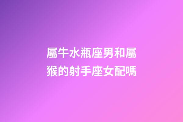 屬牛水瓶座男和屬猴的射手座女配嗎-第1張-星座運勢-玄機派