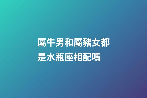 屬牛男和屬豬女都是水瓶座相配嗎-第1張-星座運勢-玄機派