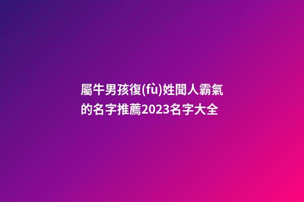 屬牛男孩復(fù)姓聞人霸氣的名字推薦2023名字大全