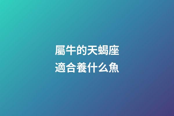 屬牛的天蝎座適合養什么魚
