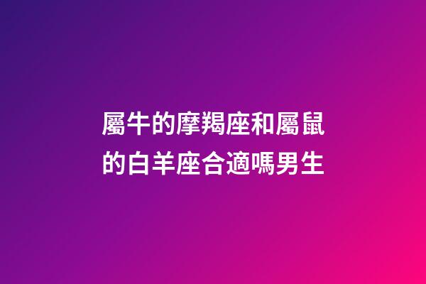 屬牛的摩羯座和屬鼠的白羊座合適嗎男生-第1張-星座運勢-玄機派