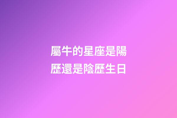 屬牛的星座是陽歷還是陰歷生日